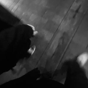 逍遥李然捆绑免费视频
